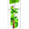 116646_adnart-flavour-it-glass-water-bottle-with-fruit-infuser-green-20-ounce.jpg