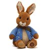 116810_gund-peter-rabbit-stuffed-animal-11-5-inches.jpg