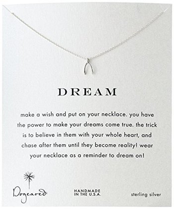 117123_dogeared-reminder-dream-sterling-silver-wishbone-pendant-necklace.jpg