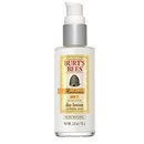 117303_burt-s-bees-radiance-day-lotion-spf-7-2-0-oz-55-g.jpg