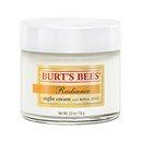 117329_burt-s-bees-radiance-night-cream-2-ounces.jpg