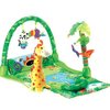 117340_fisher-price-rainforest-1-2-3-musical-gym.jpg