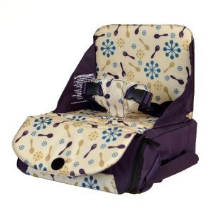 11811_munchkin-travel-booster-seat.jpg