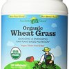 119109_amazing-grass-organic-wheat-grass-100-serving-28-2-oz-container.jpg