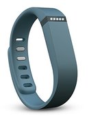 120031_fitbit-flex-wireless-activity-sleep-wristband-slate.jpg