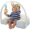 120056_fisher-price-perfect-position-4-in-1-nursing-pillow.jpg