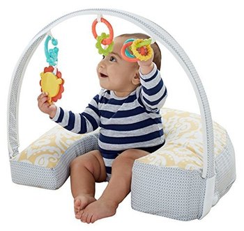 120056_fisher-price-perfect-position-4-in-1-nursing-pillow.jpg