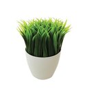 120539_kikkerland-potted-pen-stand-sc24.jpg