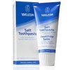 12120_weleda-salt-toothpaste-2-5-fluid-ounce-pack-of-2.jpg