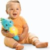 121554_fisher-price-ocean-wonders-soothe-and-glow-seahorse-blue.jpg