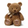 121790_gund-my-first-teddy-bear-baby-stuffed-animal-15-inches.jpg