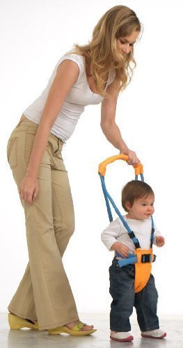 121944_soho-designs-baby-walker-learn-how-to-walk-assistant.jpg