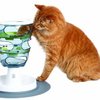 122188_catit-design-senses-treat-maze.jpg