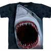 122198_the-mountain-mens-shark-bite-short-sleeve-tee.jpg