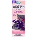 12295_nature-s-way-sambucus-for-kids-bio-certified-elderberry-8-ounce.jpg