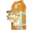 12329_back-to-the-roots-oyster-mushroom-kit.jpg