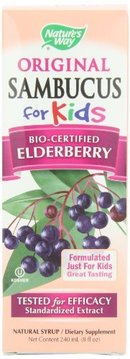 123336_nature-s-way-sambucus-for-kids-bio-certified-elderberry-8-ounce.jpg