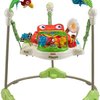 125276_fisher-price-rainforest-jumperoo.jpg