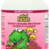 12649_natural-factors-big-friends-children-s-chewable-jungle-juice.jpg