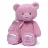 126734_gund-baby-gund-my-1st-teddy-plush-toy-pink-15.jpg