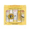 126791_burt-s-bees-everyday-essential-beauty-kit.jpg