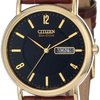 127156_citizen-men-s-bm8242-08e-eco-drive-gold-tone-stainless-steel-watch-with-brown-leather-band.jpg