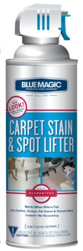127435_bluemagic-900-carpet-stain-spot-lifter-22-oz-aerosol-can.jpg