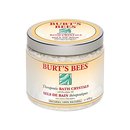 127659_burt-s-bees-bath-crystals-1-pound.jpg