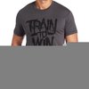 128155_asics-train-to-win-t-shirt-graphite-small.jpg