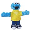 128258_playskool-sesame-street-cookie-monster-hugs-forever-friends-figure.jpg