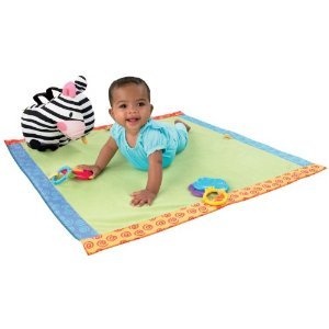 12859_fisher-price-discover-n-grow-take-along-play-blanket.jpg