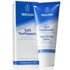 130579_weleda-salt-toothpaste-2-5-fluid-ounce-pack-of-2.jpg