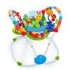 132654_baby-einstein-activity-jumper-special-edition-neighborhood-friends.jpg