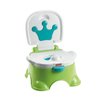 133202_fisher-price-royal-stepstool-potty.jpg