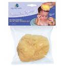 13538_baby-bath-natural-sea-sponge.jpg