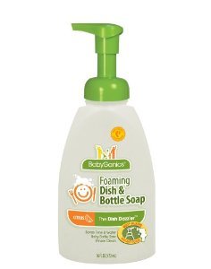 13566_babyganics-dish-dazzler-foaming-dish-and-bottle-soap.jpg