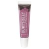 136192_burt-s-bees-lip-shine-flutter-0-5-ounce.jpg