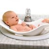137503_puj-tub-in-sink-baby-bath.jpg