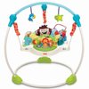 14143_fisher-price-precious-planet-blue-sky-jumperoo.jpg