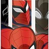 141797_thermos-12-ounce-funtainer-bottle-spiderman.jpg