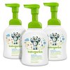 144441_babyganics-alcohol-free-foaming-hand-sanitizer-fragrance-free-8-45oz-pump-bottle-pack-of-3.jpg