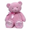 144709_gund-my-first-teddy-bear-stuffed-animal-18-inches.jpg