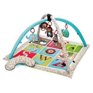 14513_skip-hop-alphabet-zoo-activity-gym.jpg