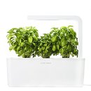 145534_click-grow-indoor-smart-herb-garden-with-3-basil-cartridges-white-lid.jpg