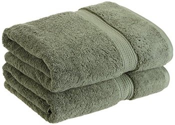 146600_superior-900-gram-egyptian-cotton-2-piece-bath-towel-set-forest-green.jpg