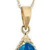 14705_14k-yellow-gold-pear-shaped-swiss-blue-topaz-pendant-with-rope-trim-18.jpg