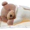 14723_prince-lionheart-original-slumber-bear-with-silkie-blanket-cream.jpg