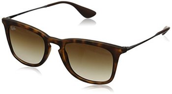 149951_ray-ban-men-s-0rb4221-square-sunglasses-dark-rubber-havana-brown-50-mm.jpg