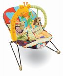 15052_fisher-price-playtime-bouncer-luv-u-zoo.jpg