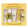 151324_burt-s-bees-essential-everyday-beauty-kit.jpg